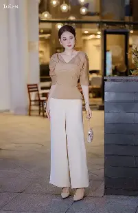 Túi xách kiểu 2893.IV (BE)